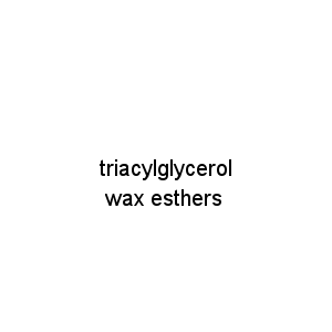 triacylglycerol wax esthers